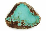 Polished Turquoise Slab - Number Mine, Carlin, NV #245512-1